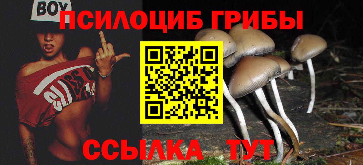 Псилоцибиновые грибы мухоморы  как найти закладки  Сергиев Посад  Вход с VPN 